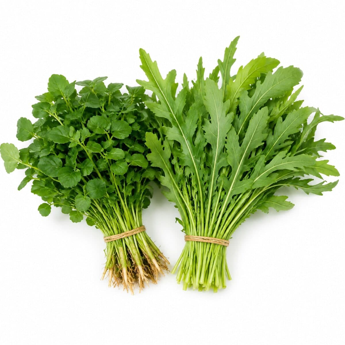 Rúcula — foto do produto