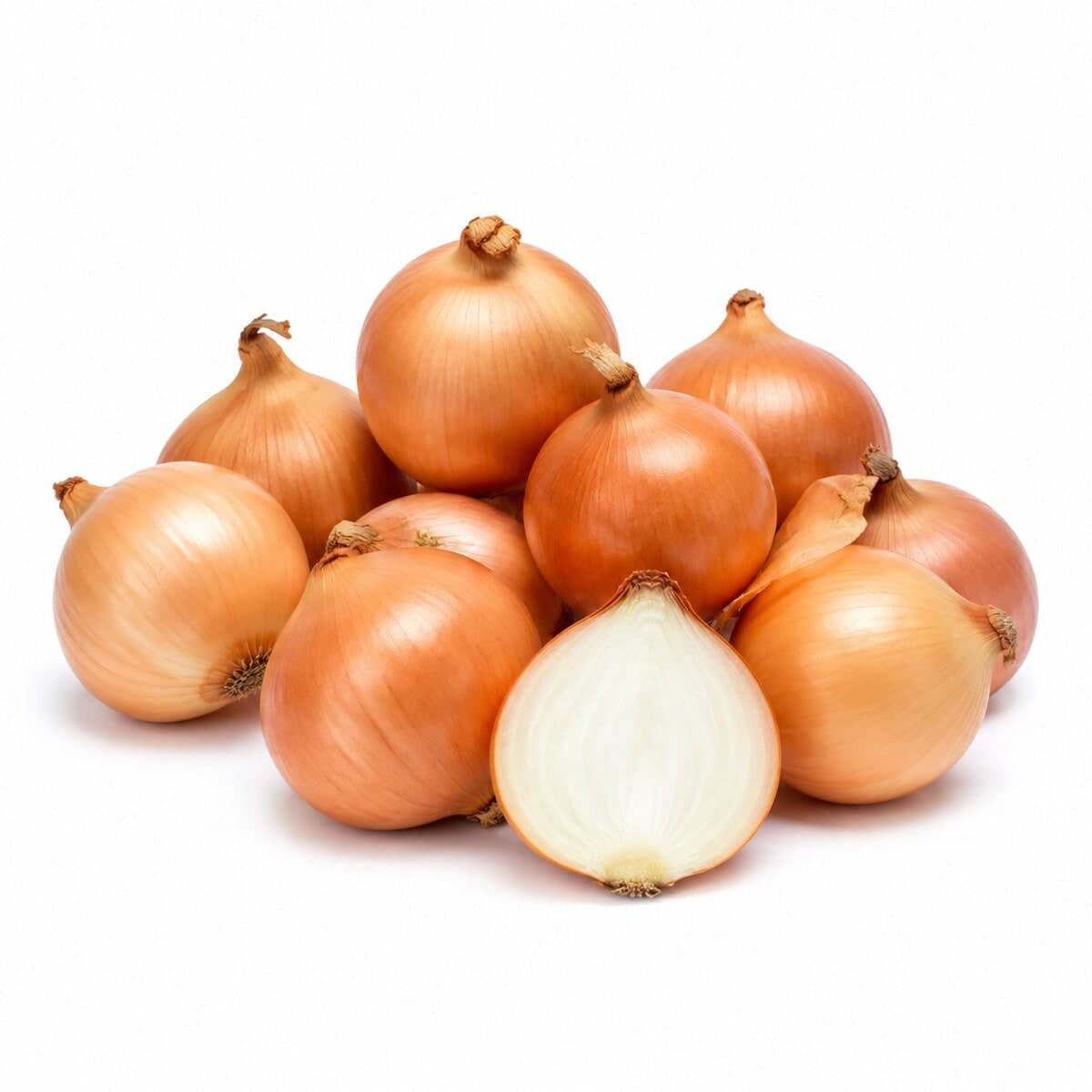 Cebola — foto do produto